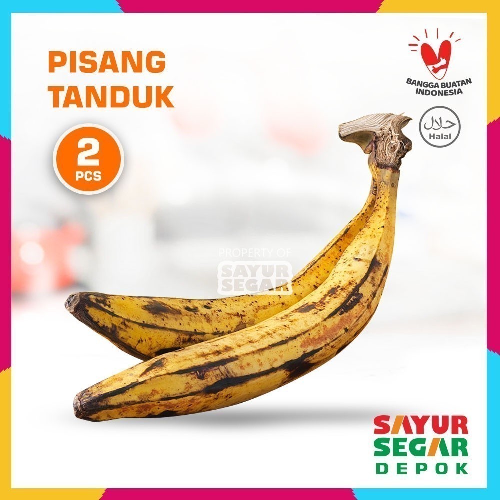 

BUAH PISANG TANDUK FRESH [2 Pcs] DOUBLE