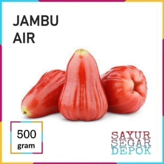 

Jambu Air segar