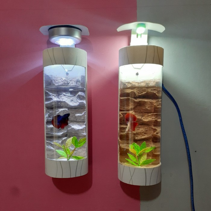 Aquarium Mini Ikan Cupang / Aquarium Dinding