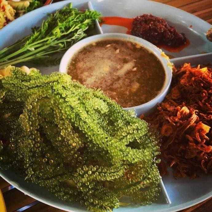 

Murah 500Gr Anggur Laut / Sea Grapes / Latoh / Lawi Lawi / Green Caviar