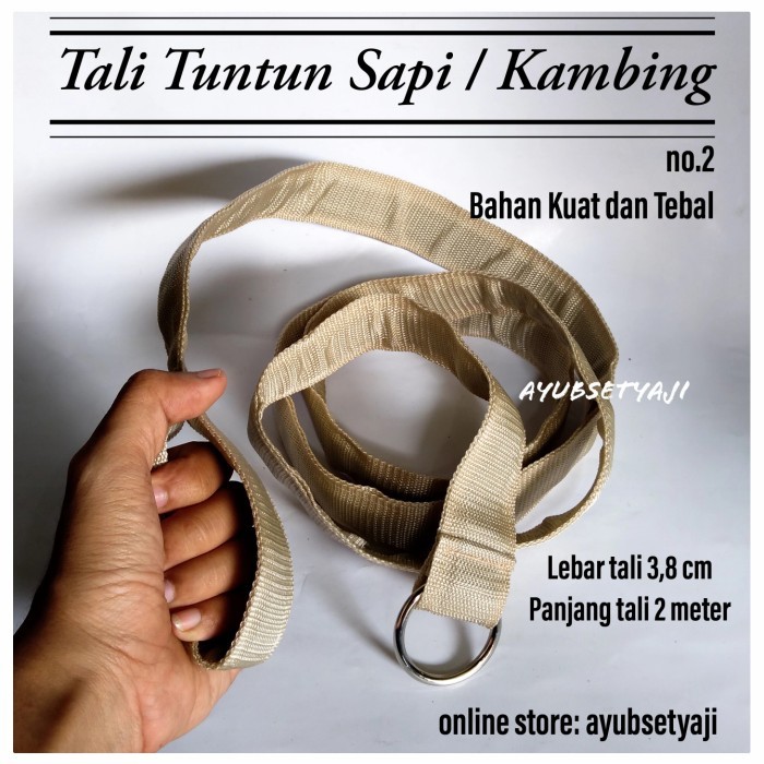 My Tali Tuntun Sapi Kambing No2 Hewan Dewasa Kalung Sapi Brangus Sapi