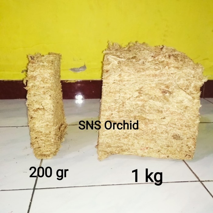 Media spaghnum moss sphagnum mos spagnum lumut putih press pres 200 gr