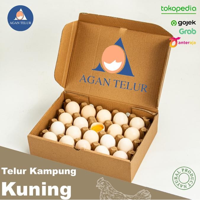 Telur Ayam Kampung Kuning Lokal isi 20 Butir/ Box Agan Telur Termurah