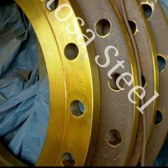 Flange Pn 25 Std 8 Inch Besi