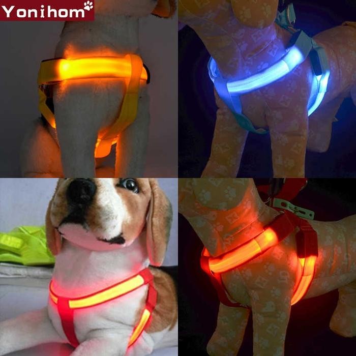 Tali Kalung Anjing Kucing LED Harnes Hewan Pet Harness Collar and Leash Dog cat