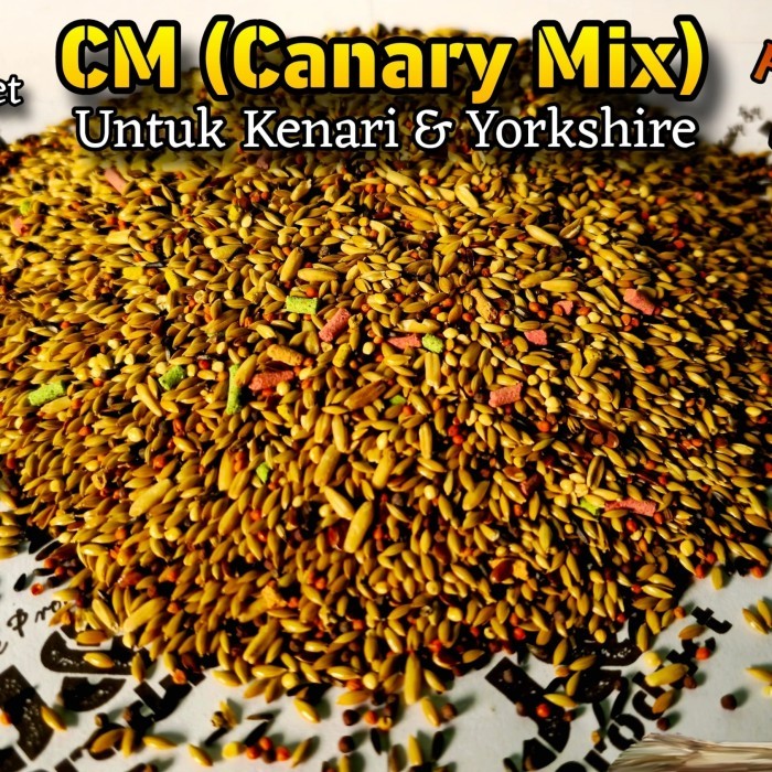 J&J Canary Mix (Cm) (10Kg) Pakan Burung Kenari, Pakan Yorkshire