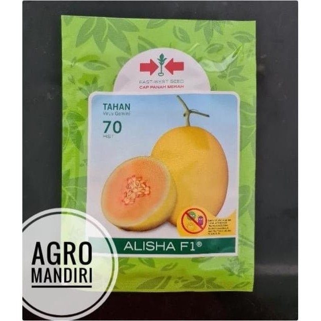 Isi 100 Butir Bibit Benih Melon Golden Alisha F1 Cap Panah Merah