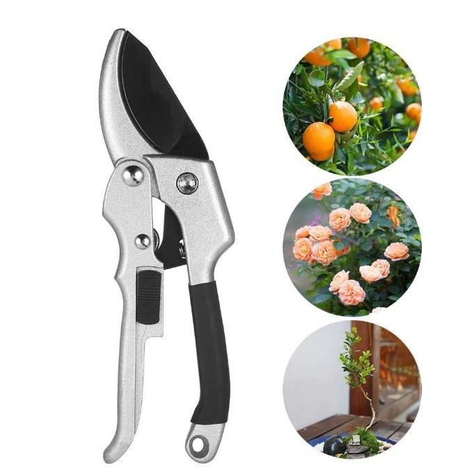 Kualitas terbaik] Gunting Pangkas Pemangkas Dahan Ranting Taman Tanaman Pohon Bonsai