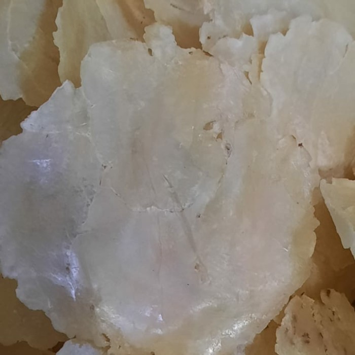 

EMPING MELINJO ASLI LIMPUNG KEMASAN 1 KG