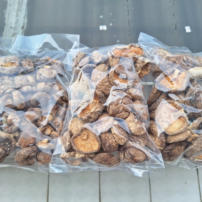 

Ina - Jamur Shiitake - Siang Ku / Hiokou Mentah 100 Gr Ikps Ukr D 3-4-5-6Cm