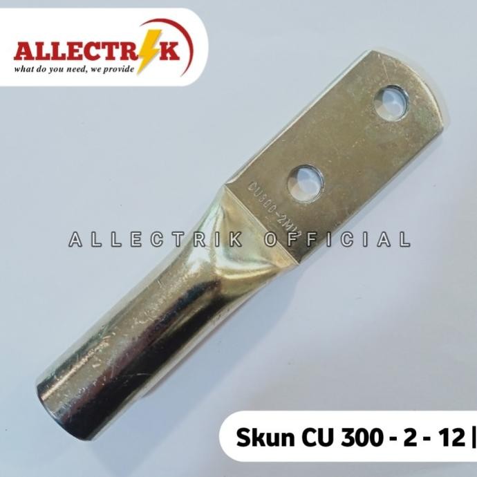 Skun Cu Tembaga 300 mm Hole 2 / Skun Cu 300 2 Lubang