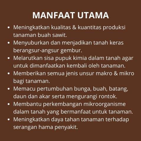 LI34 Pupuk Sawit Agar Buah Lebat dan Berat / Pupuk kelapa Sawit / Pupuk Sawit Baru Tanam / Pupuk Saw