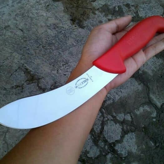 Skinning Knife F. Dick 15 Cm Original 8.2264.15
