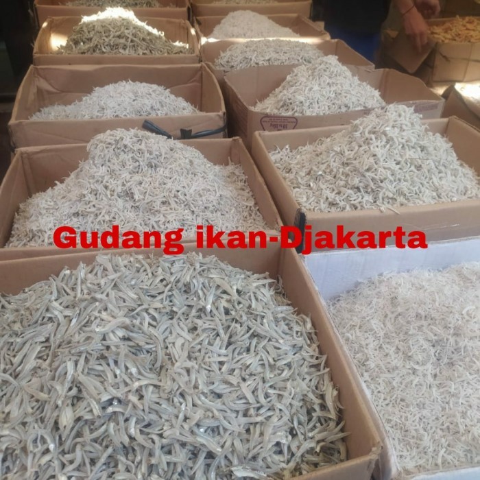 

IKAN ASIN TERI NASI MEDAN KECIL NETTO-1KG