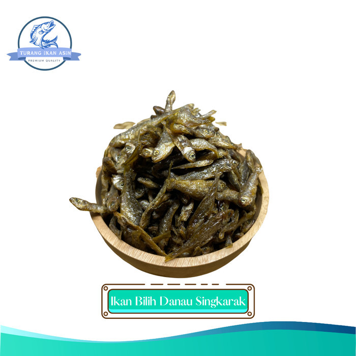 

IKAN BILIH DANAU SINGKARAK BILIS PADANG ASLI