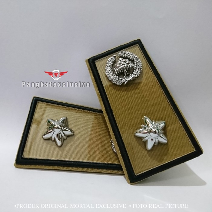 Town Pangkat Asn Lampung 3A