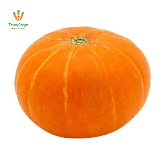 

Kabocha Labu Kuning Import Jepang Segar - 1pcs