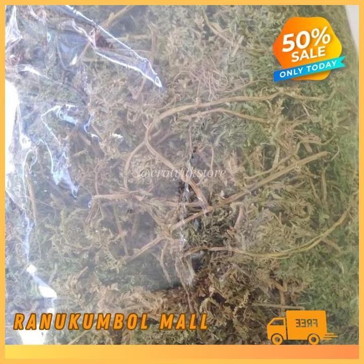 

KERING 500GR DAUN CAKAR AYAM RANU KUMBOL MALL DIJAMIN GRATIS ONGKIR!!