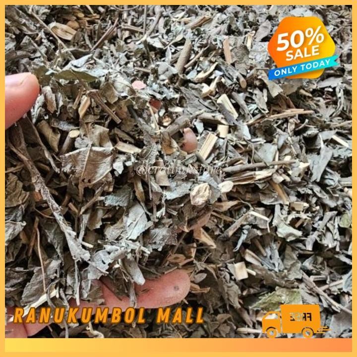 

KEJI BELING KERING 1KG HERBAL JAMU DAUN RANU KUMBOL MALL TERBAIK!!!!