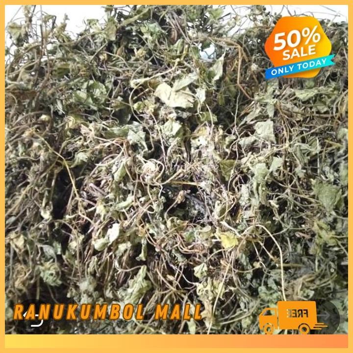 

500GR DAUN ANTANAN DAUN KAKI KUDA ASLI DAUN PEGAGAN KERING RANU KUMBOL MALL TERJAMIN BEST!!