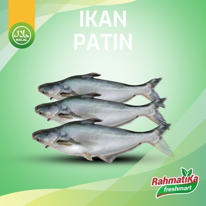 

Ikan Patin Segar / Ikan Patin Fresh 1 Kg