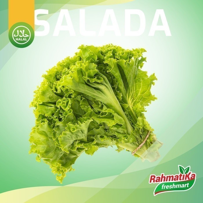 

Selada Segar / Daun Selada Fresh / Sayur Selada 1 Kg (Sayur Segar)