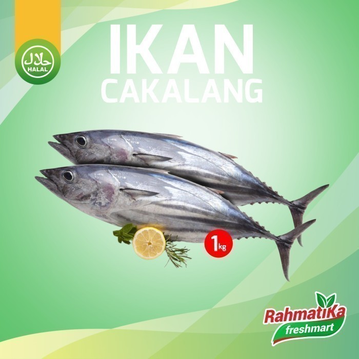 

Ikan Cakalang Segar / Ikan Cakalang Fresh 1 Kg