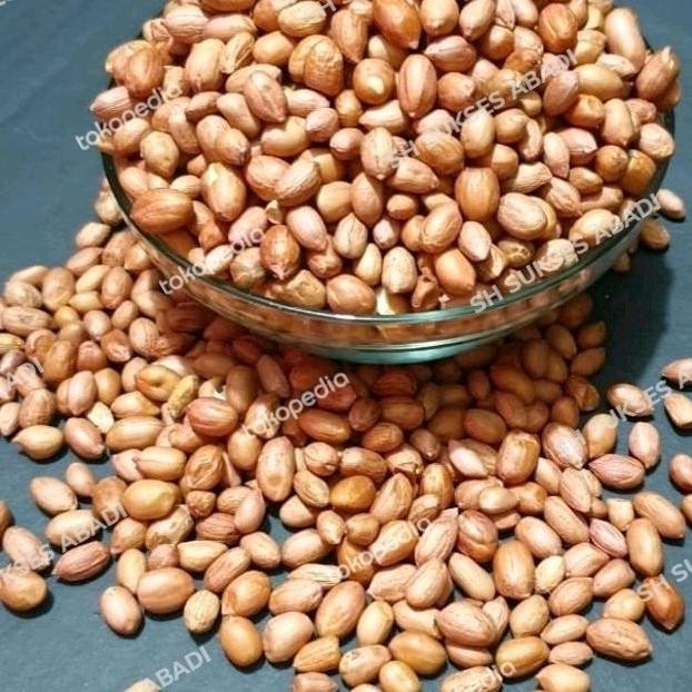 

(Good) KACANG TANAH KULIT / KACANG TANAH MENTAH 1KG MURAH SURABAYA