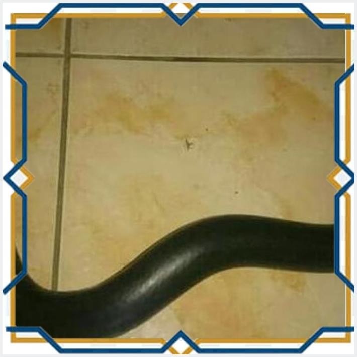 [BCM] SELANG RADIATOR LOWER BAWAH AVANZA XENIA