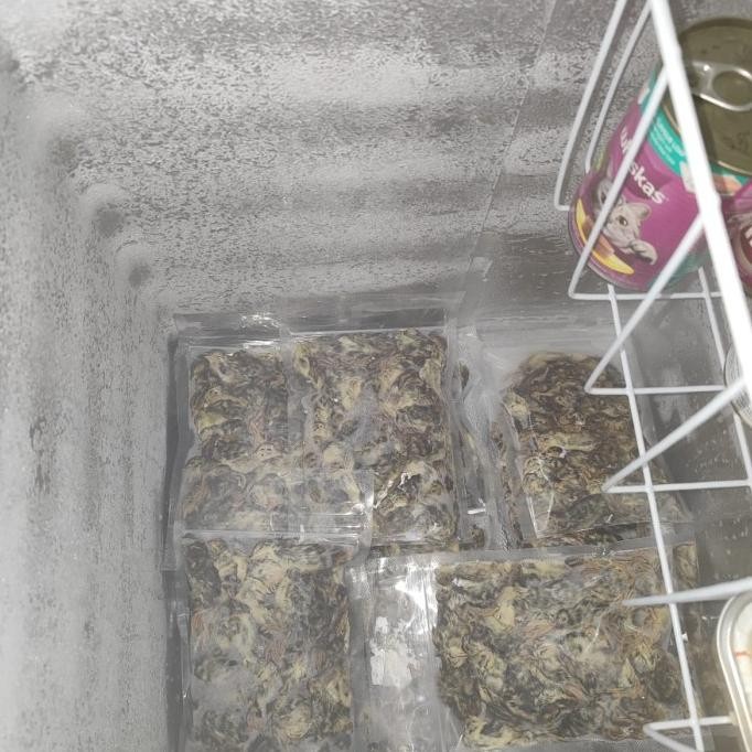 

Doq Puyuh Frozen murah