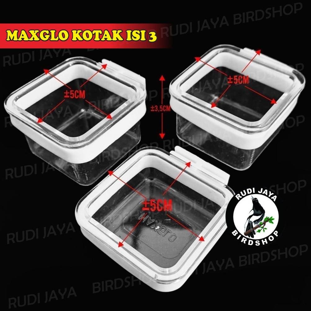 Super Sale CEPUK MAXGLO MIX 1 PAK ISI 20 PCS CAMPUR KOTAK BULAT BELGIA MAXGLO MAXGLOW MAX GLO MAX GL