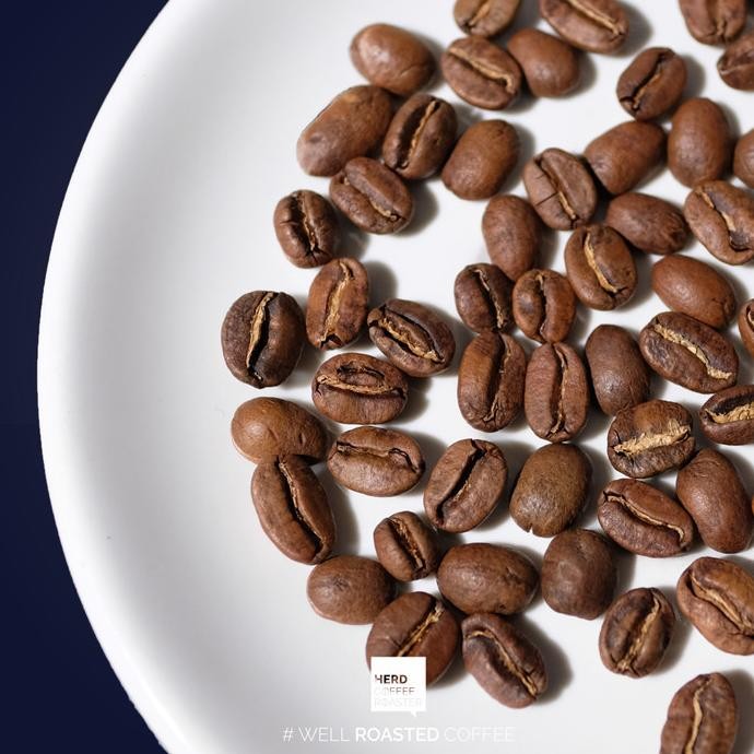 

Kopi Papua Nutmeg Single Origin Manual Brew Filter Coffee