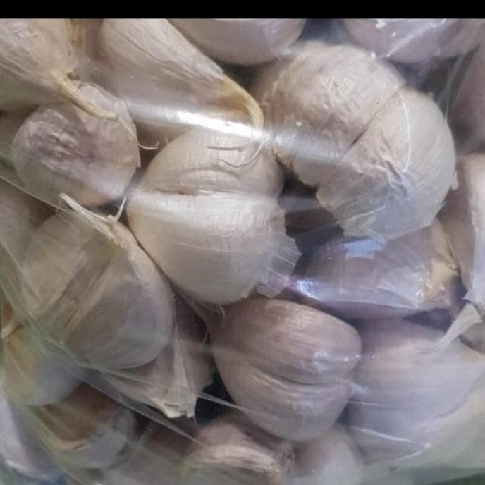 

bawang putih kating murah