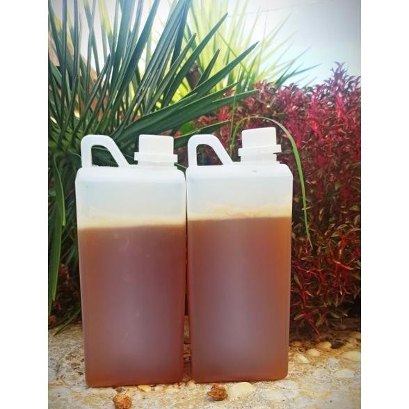 

Madu Kelulut MURNI | Klenceng | ITAMA 1 KG