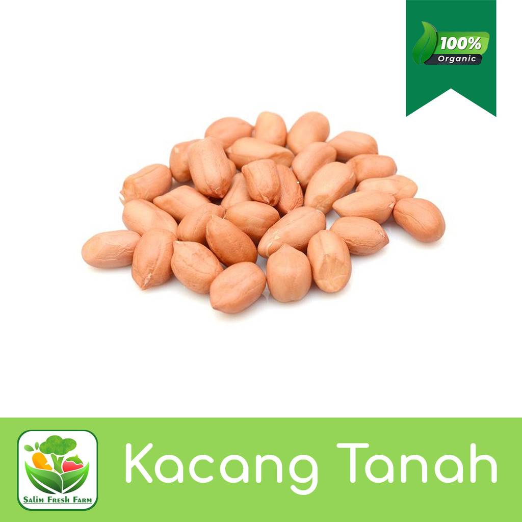 

Kacang Tanah / Kacang Tanah 500 gram / Kacang Tanah Kulit Mentah 1 kg