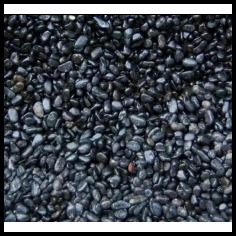 BATU KORAL SIKAT HITAM/PANCAWARNA 10KG KARUNGAN