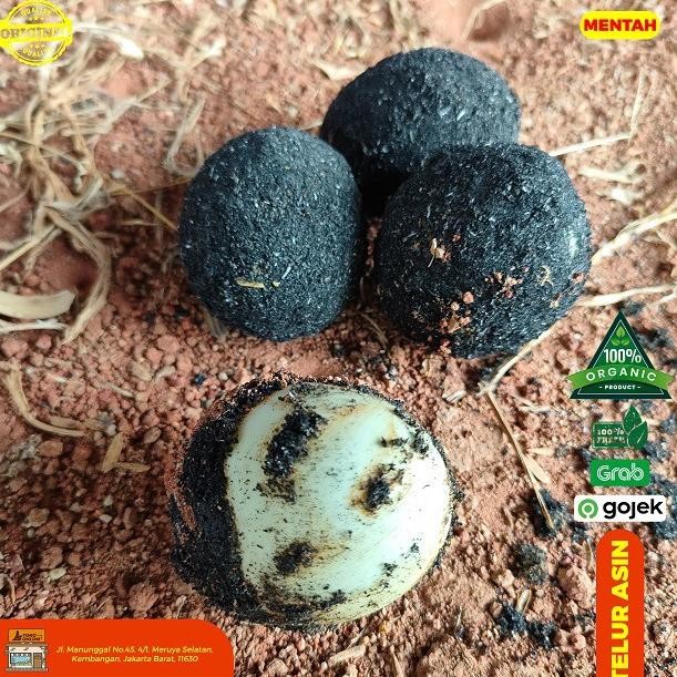 

Jh85 Telur Asin Mentah 15 Butir