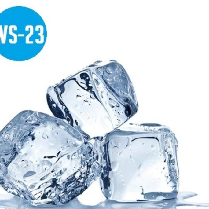 

Cooling agent ws 23 essence flavours murah