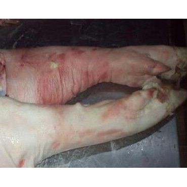 

Promo Daging Babi Bagian Kaki Depan