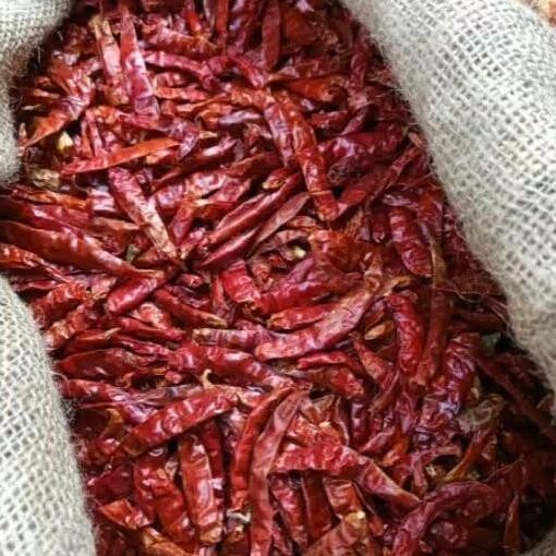 

Cabe Rawit Ering Cabe Teja Ering 1 G