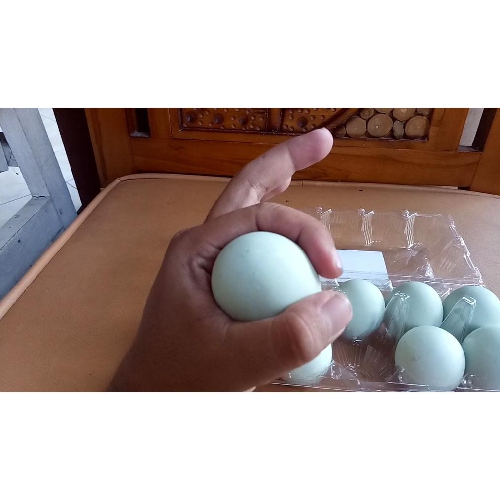 

Ed-76 Telur Telor Asin Brebes Istimewa Asli Isi 10 Butir