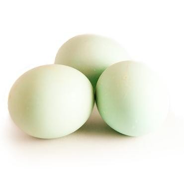 

H-4 Pasar Online Murah - Telor Asin Mentah 5Pcs