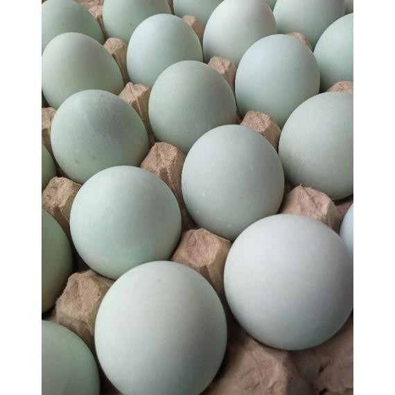 

Super Sale Telur Asin Matang / Butir