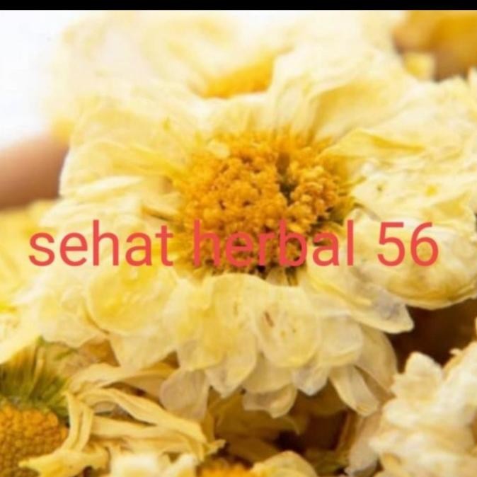 

Sale 1Kg Teh Bunga Krisan / Crysanthemu Tea Permium