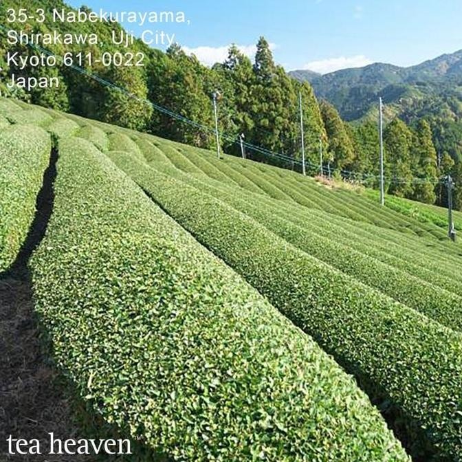 

Sale Tea Heaven Pure Japanese Matcha Powder 500Gr