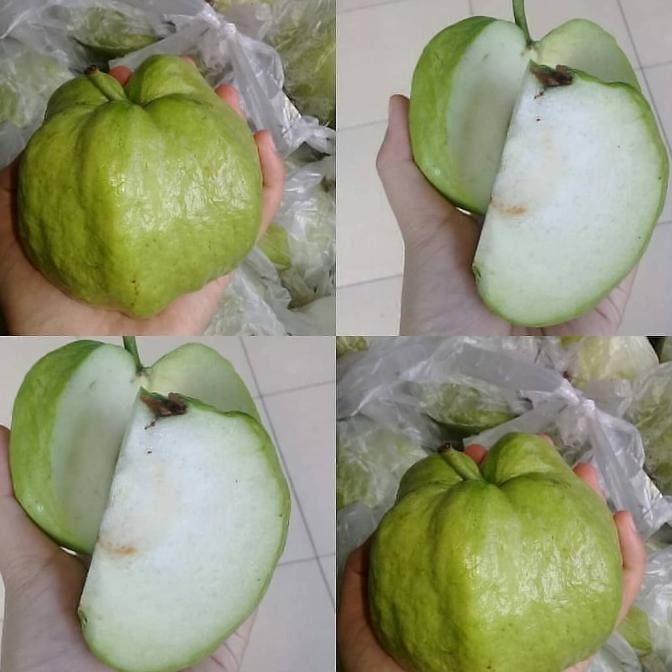 

JAMBU KRISTAL LOKAL 1KG nUg