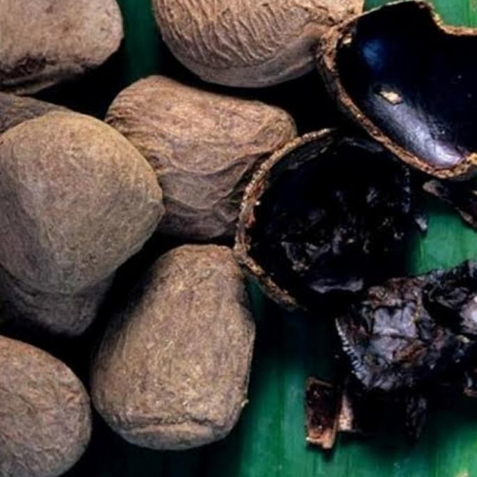 

Kluwek rawon/pucung/picung 250gram. nUg