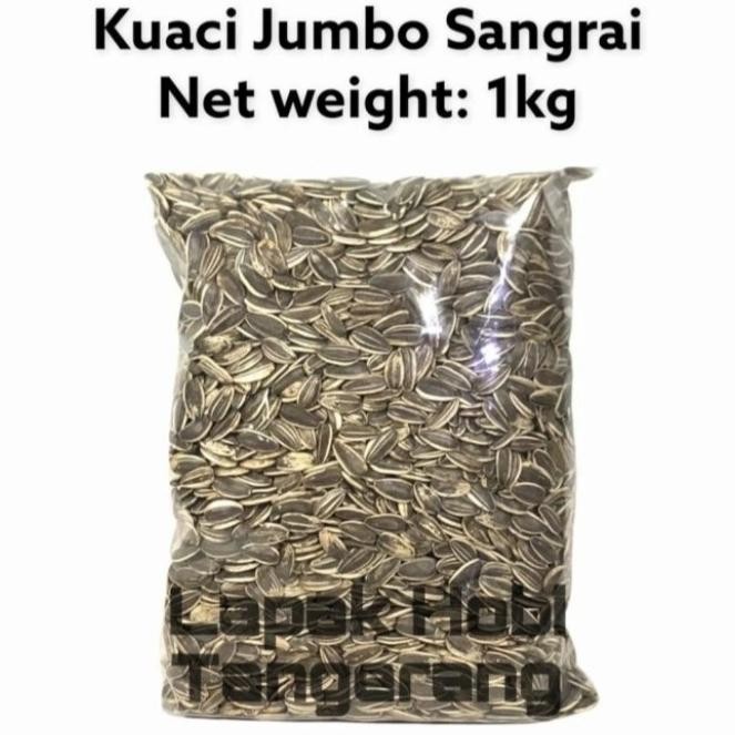 

Promo Kuaci Jumbo 1 Kg