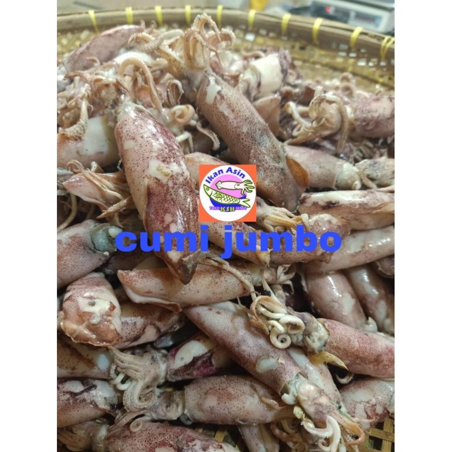 

Murah Aneka Ikan Asin Cumi