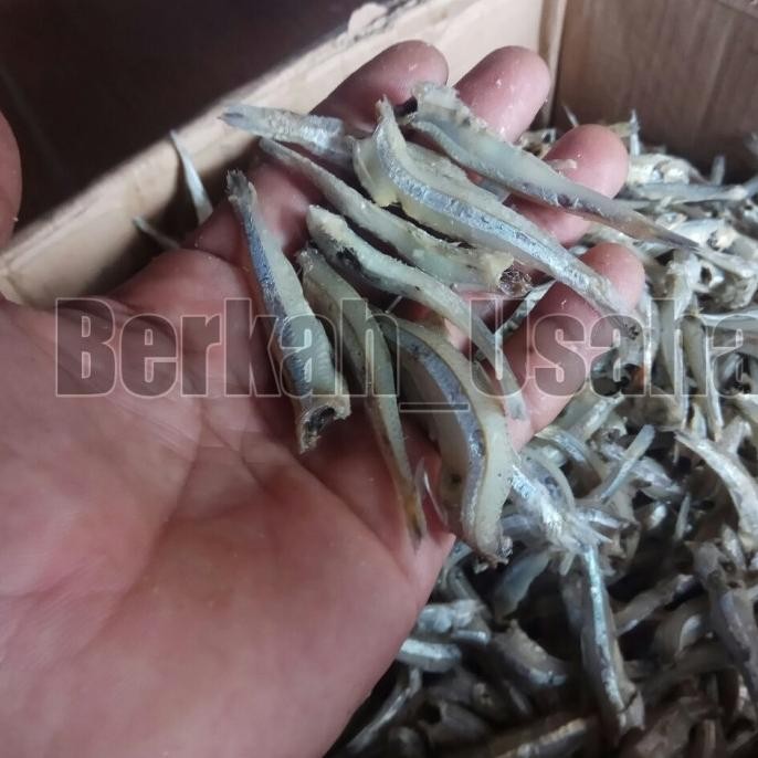 

Promo Ikan Asin Teri Jengki Bulat Putih Rebus Kering Tanpa Kepala Fresh 1Kg